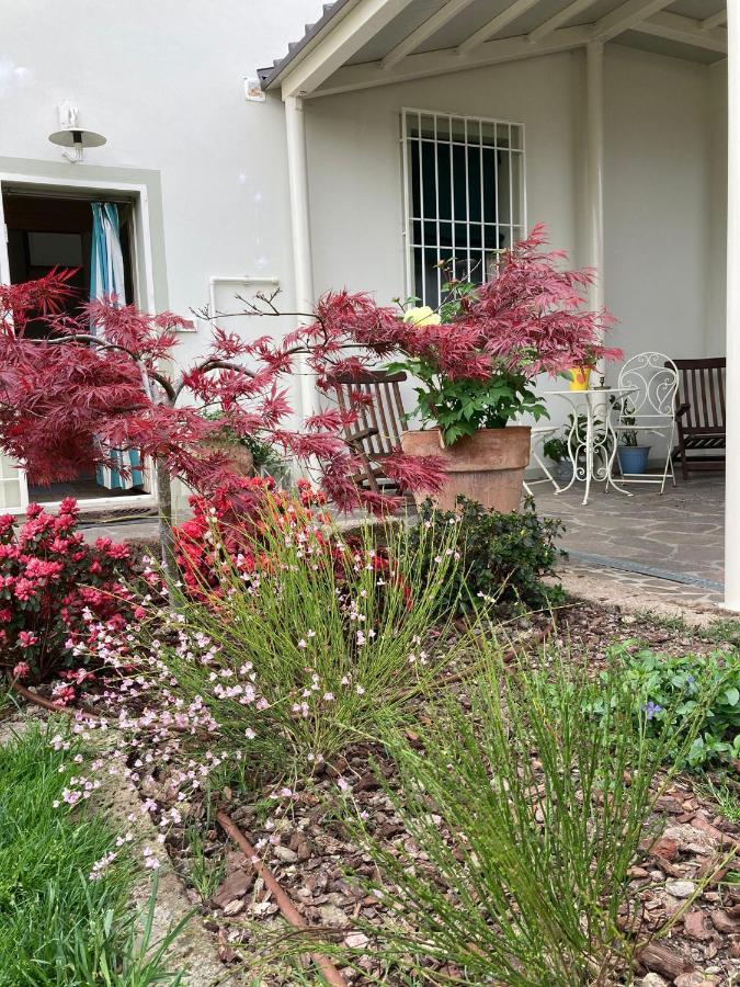 La Casona B&B ซานมิเคเล อัลลาดิเจ ภายนอก รูปภาพ